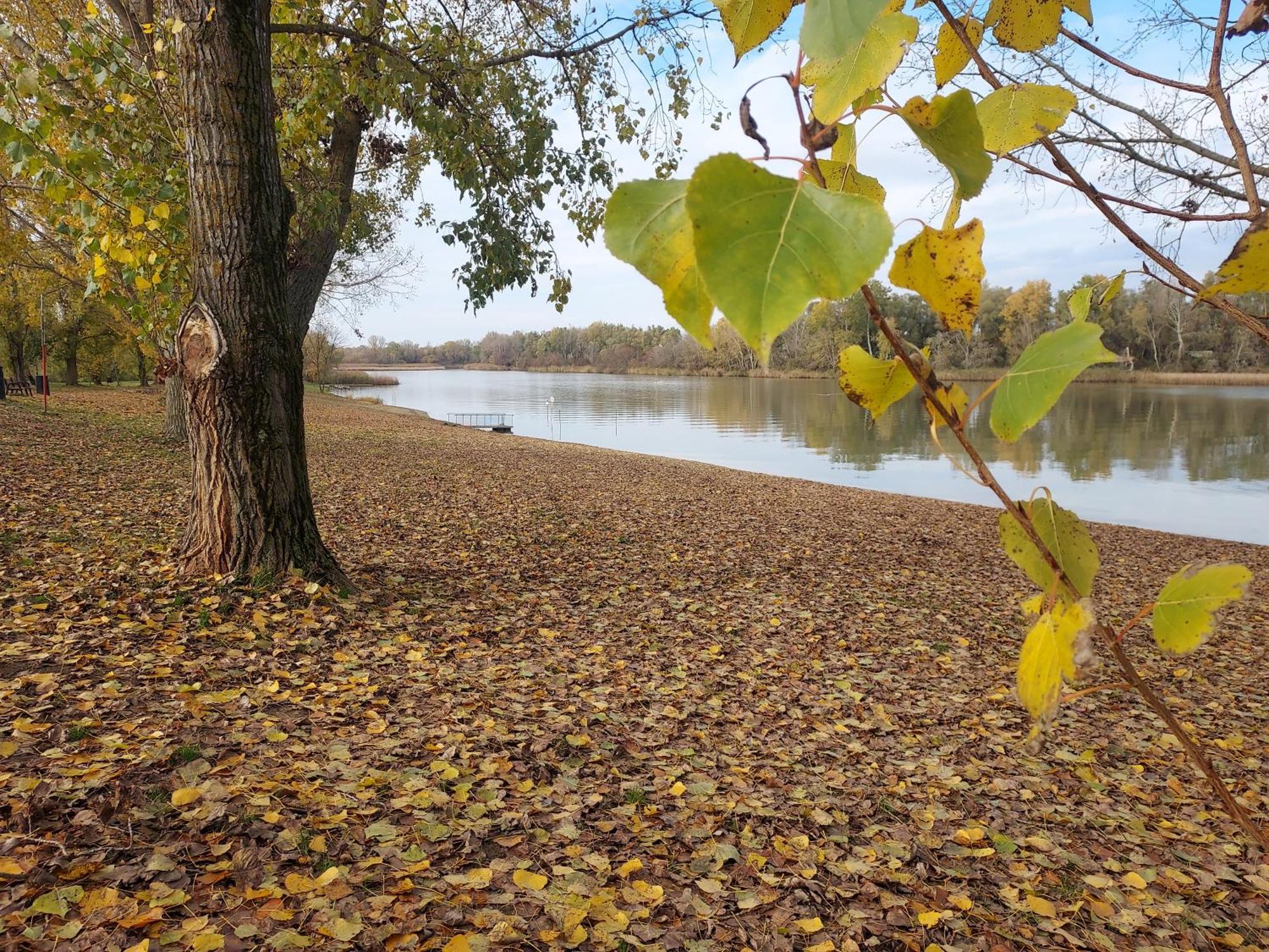 De Bloementuin / A Viragoskert * Tiszafured